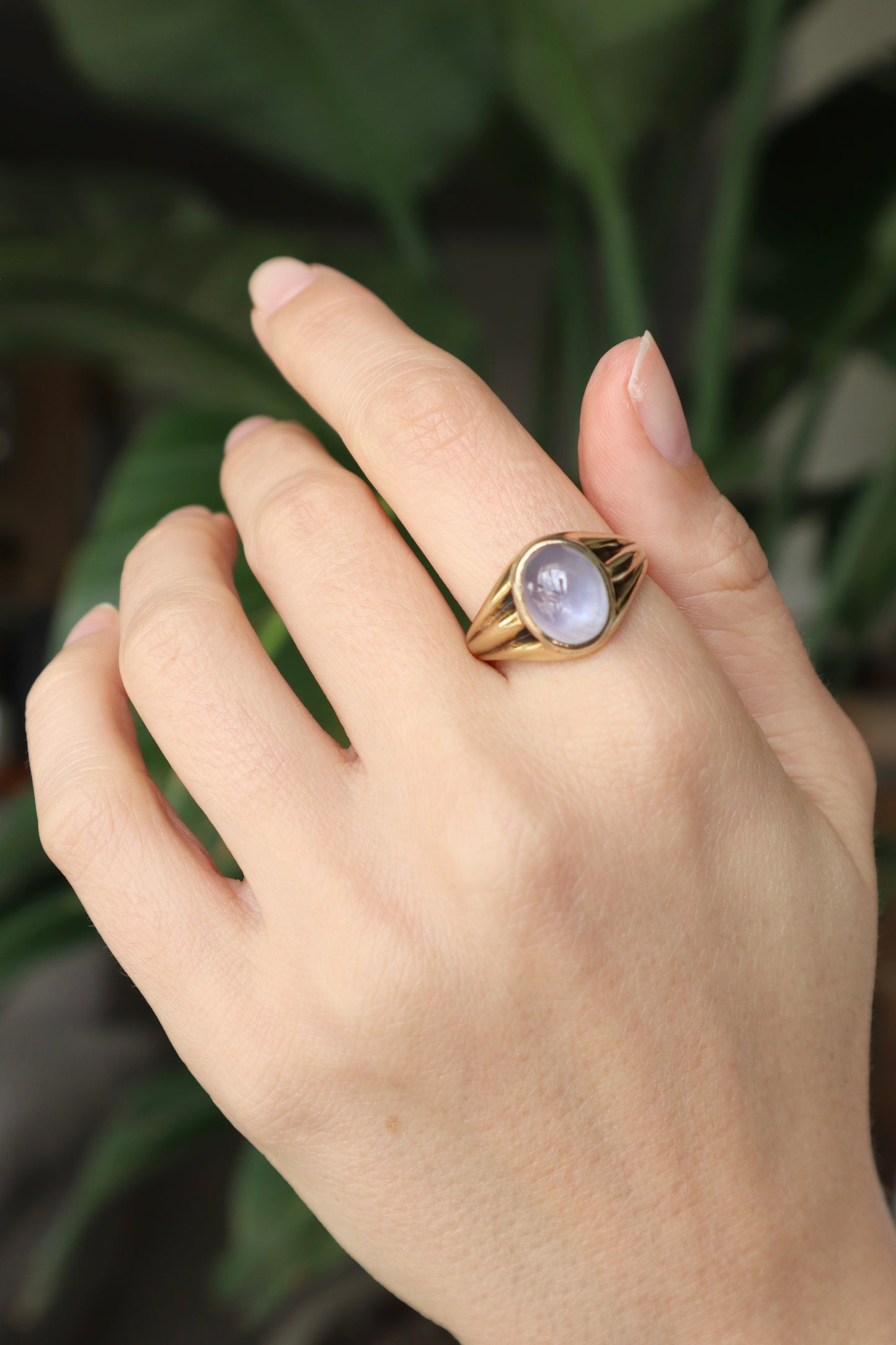 The Spellbound Ring