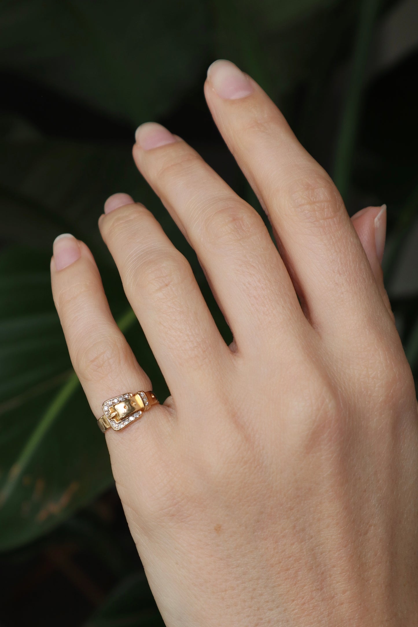 The Buckle Ring