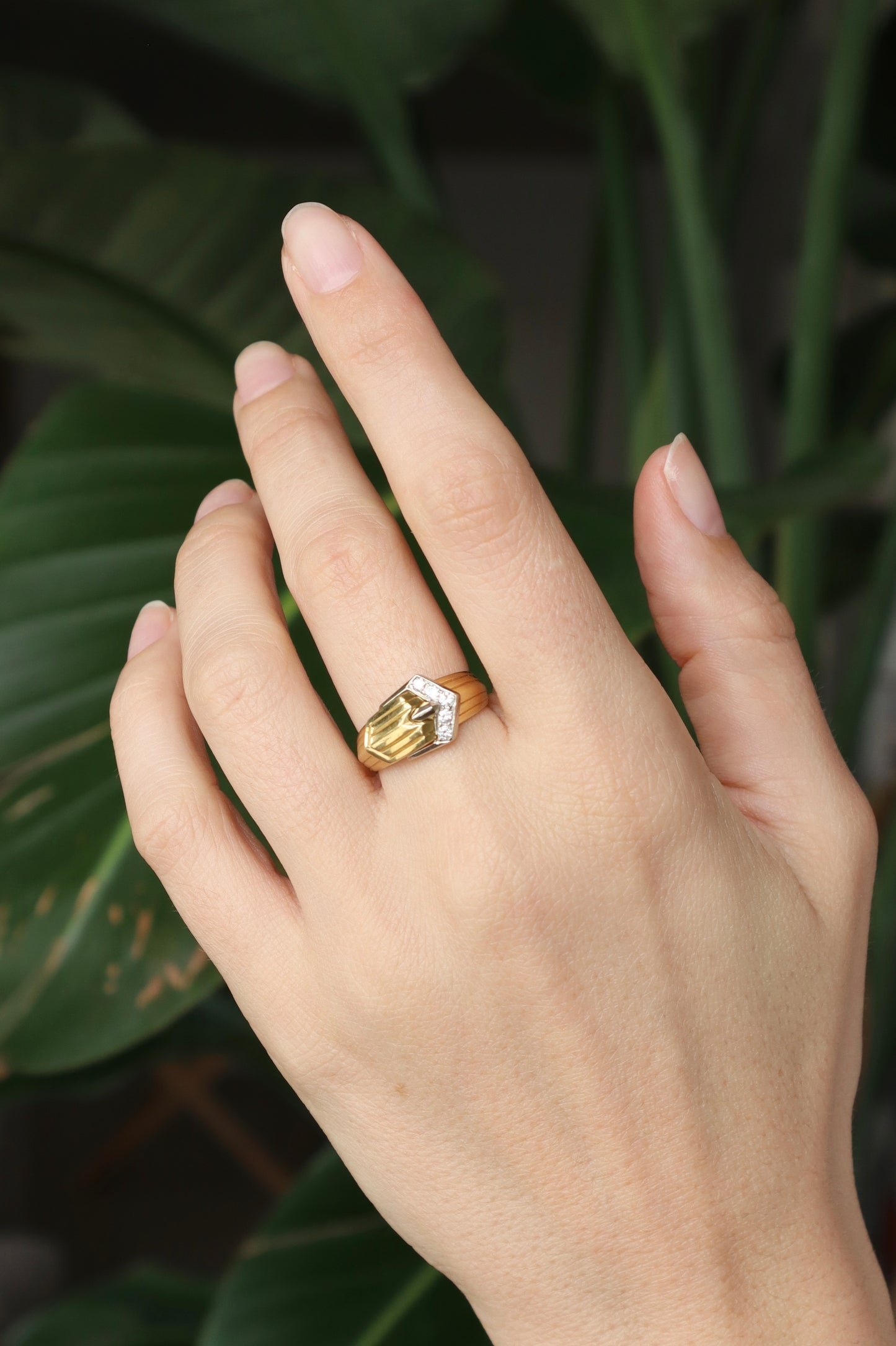 The Modern Buckle Ring