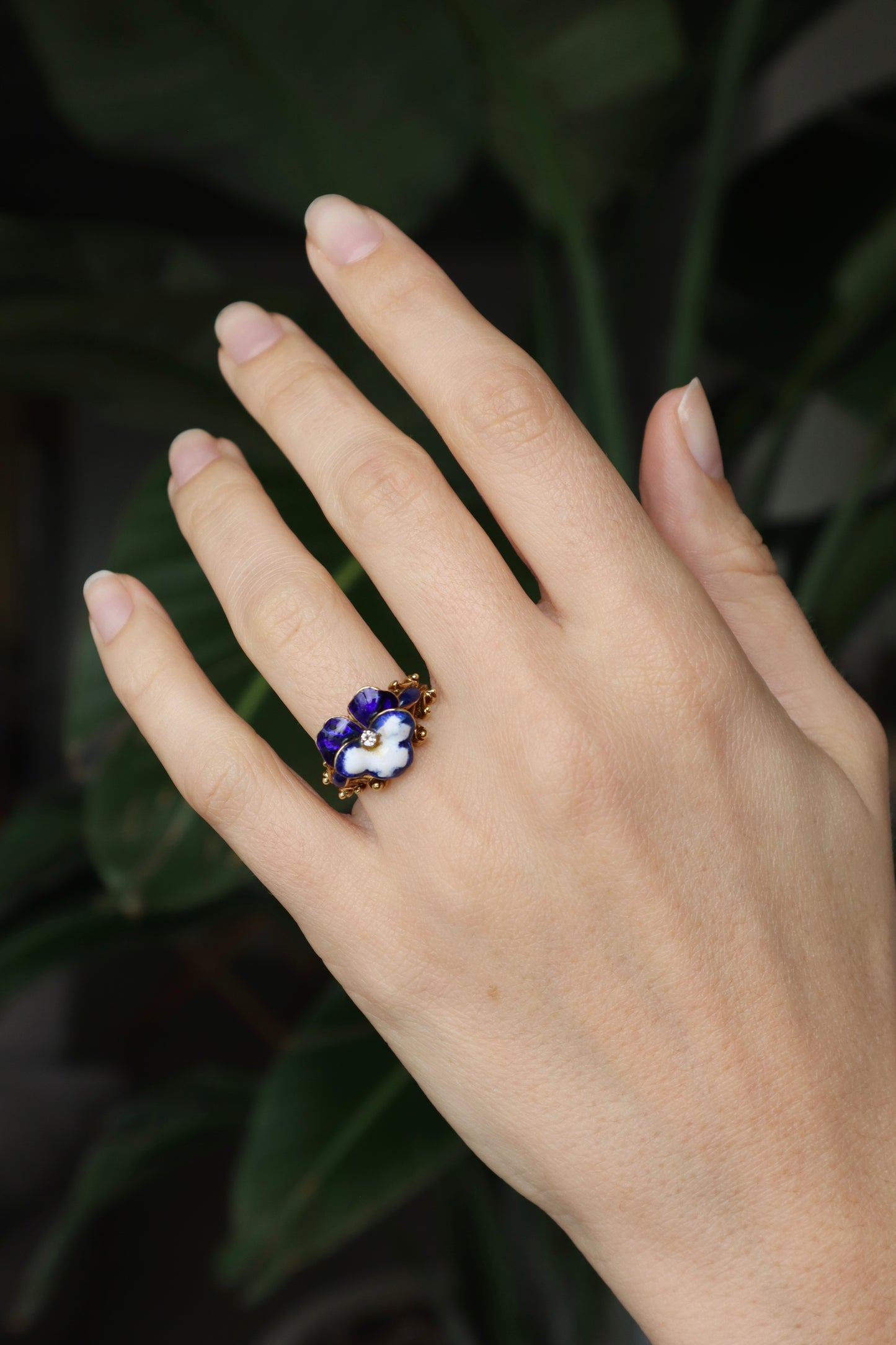 *RESERVED* The Pansy Ring