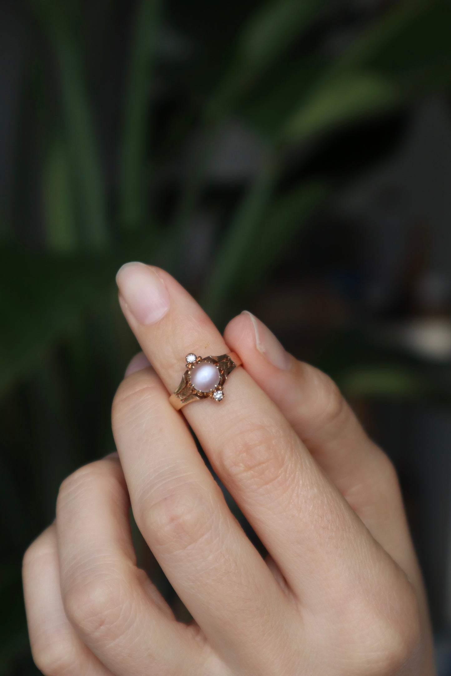 The Rosewood Ring