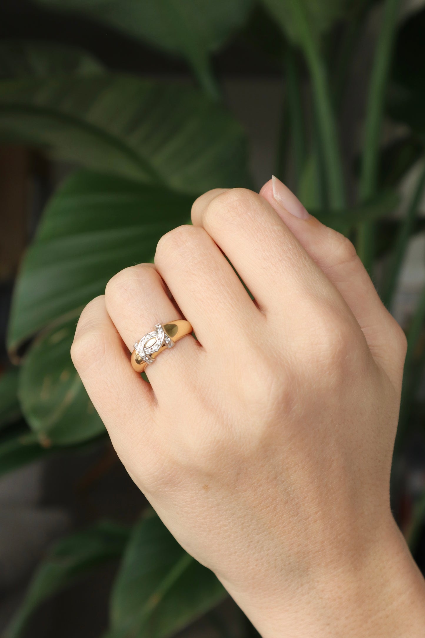 The Cartier Ring