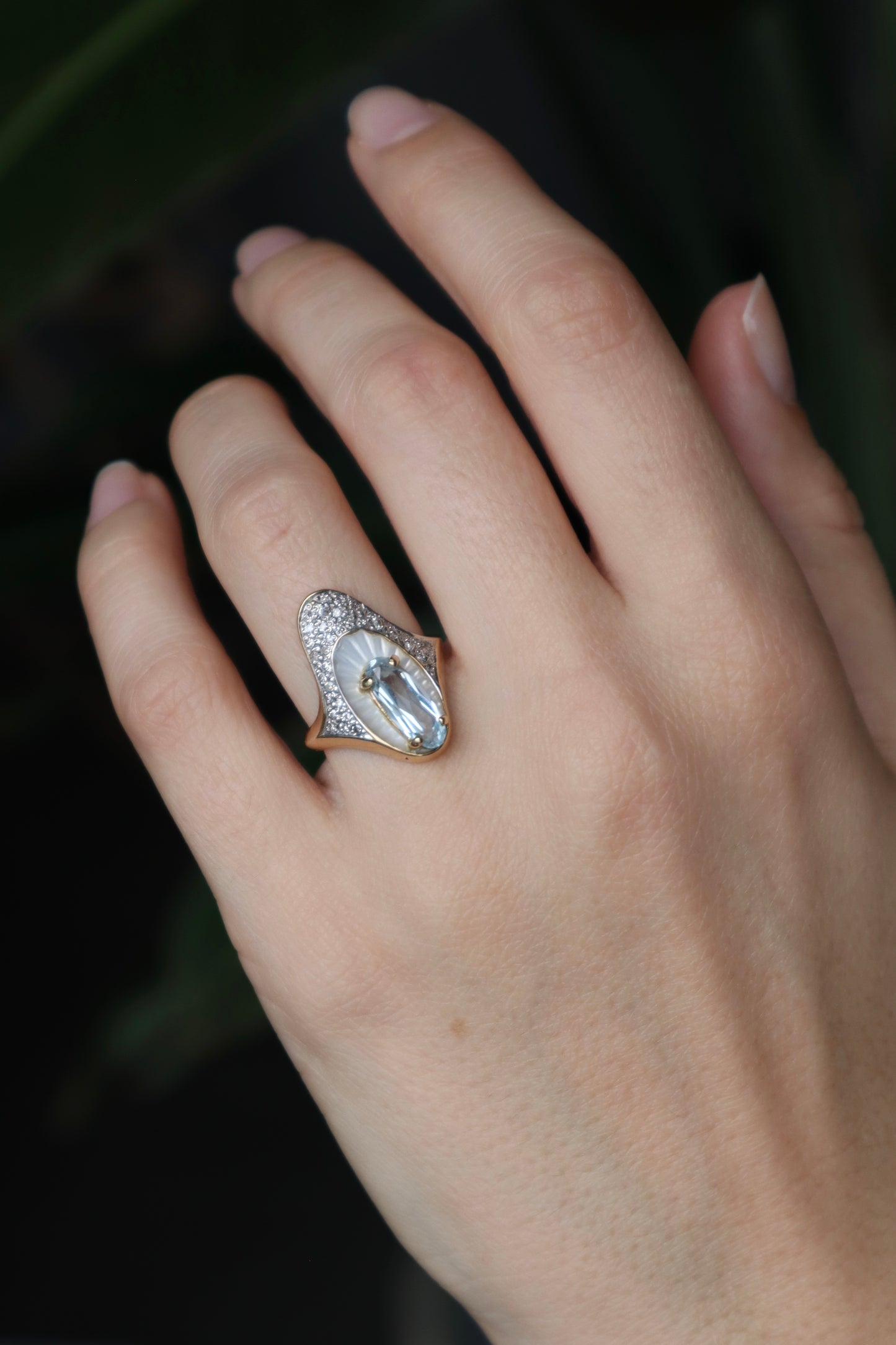 The Venus Ring