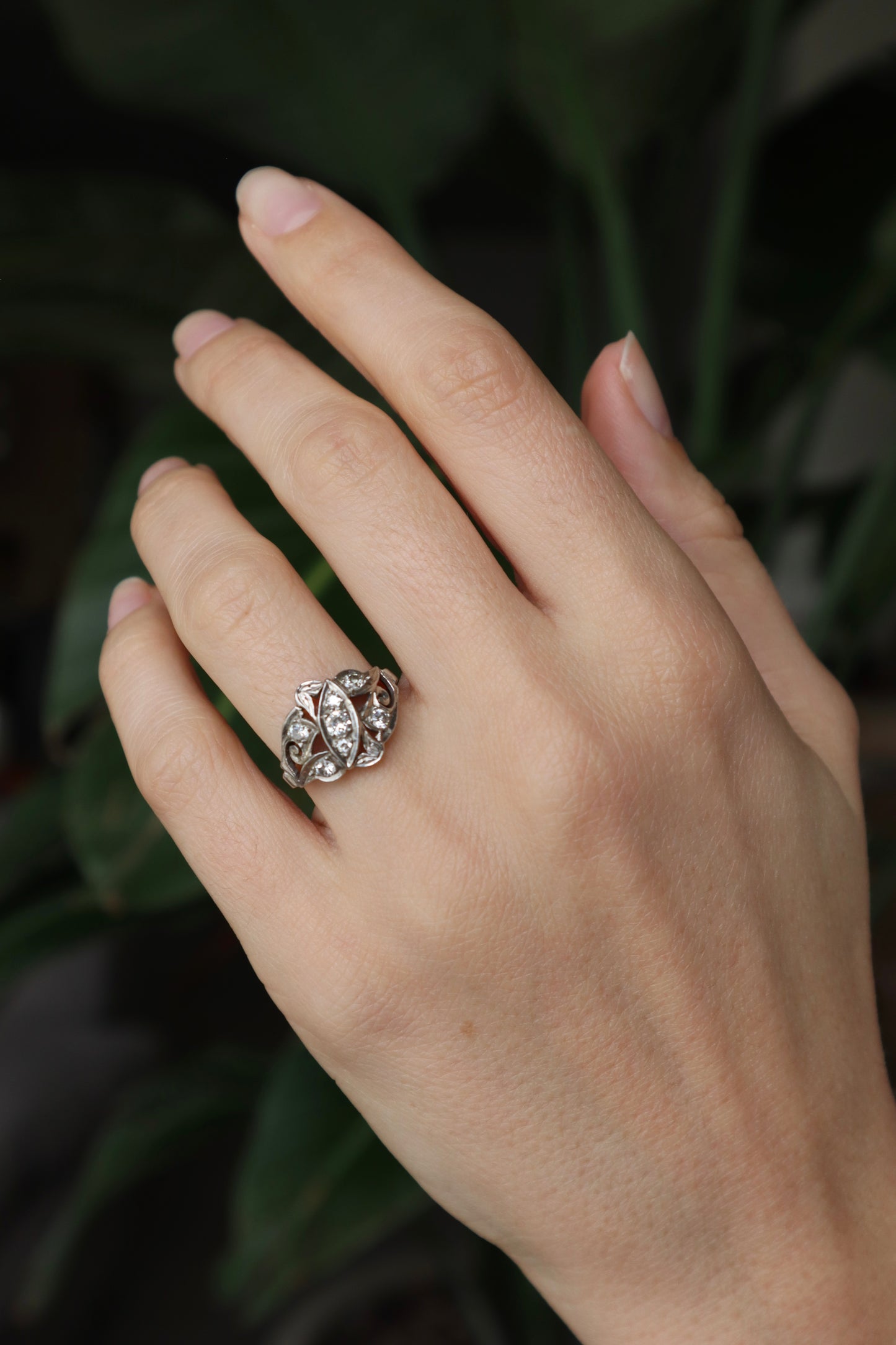 The Luminous Ring