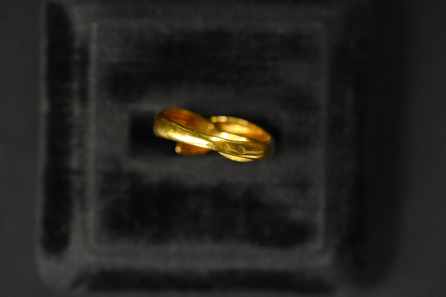 The Coiled Snake Ring