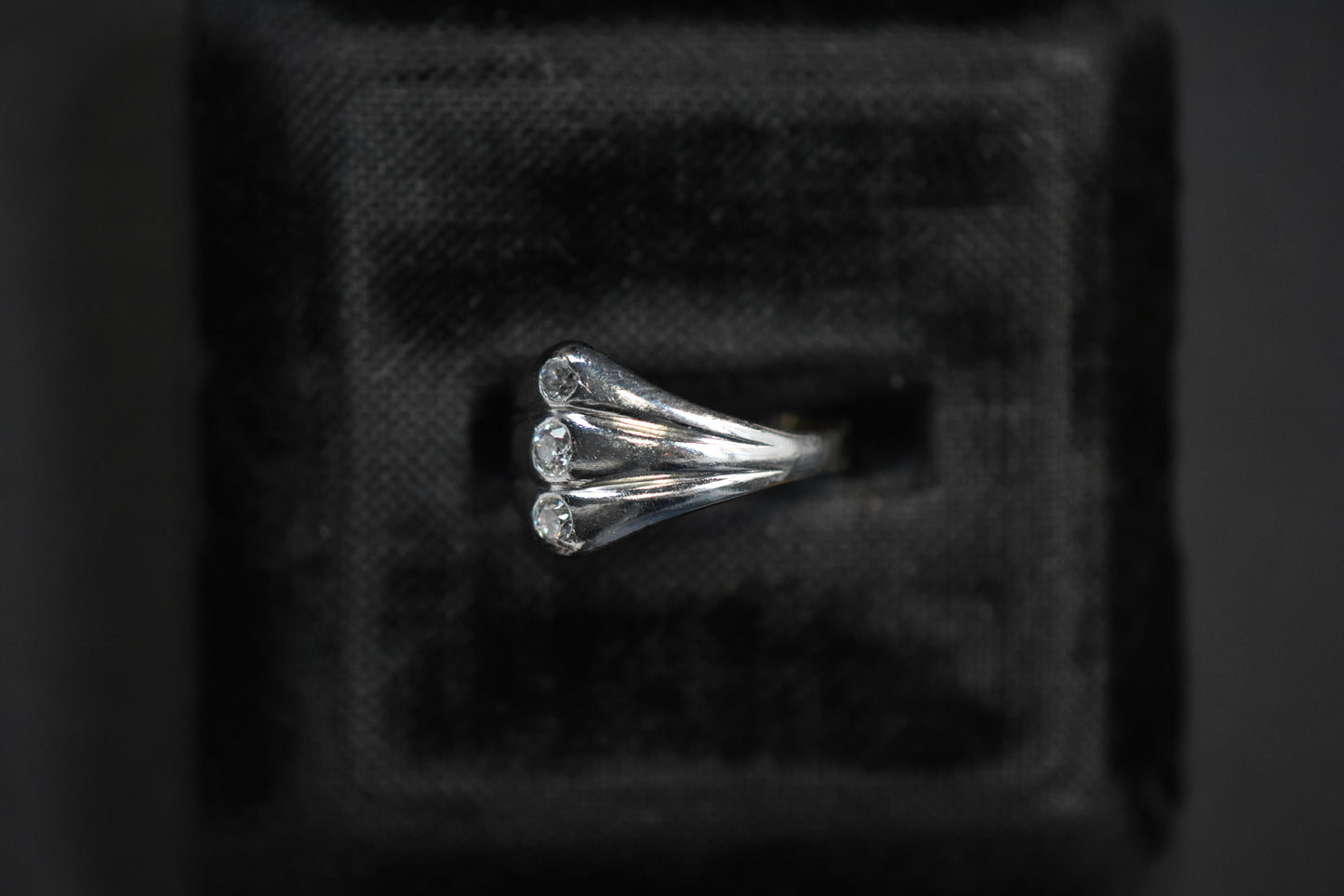 The Armory Ring