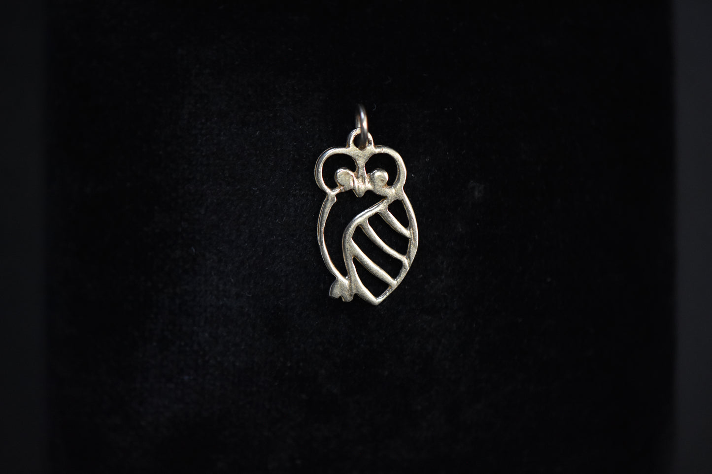 The Owl Charm