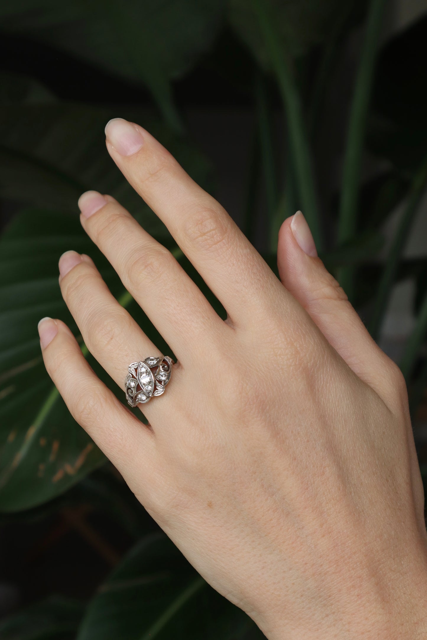 The Luminous Ring
