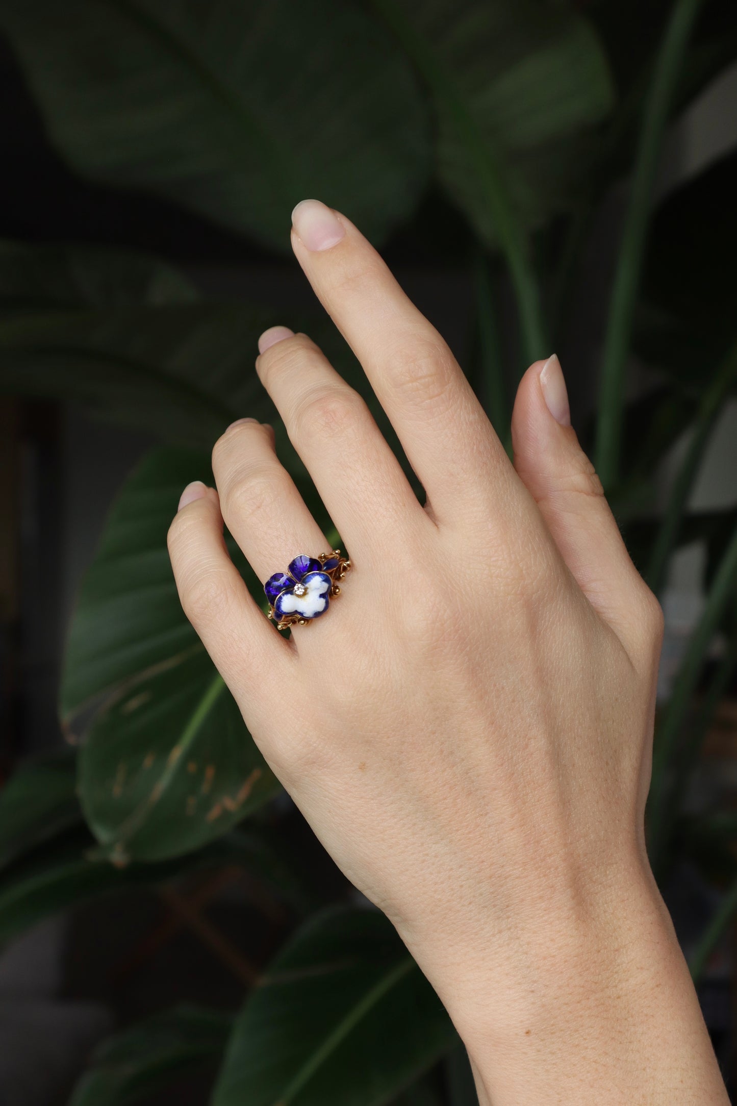 *RESERVED* The Pansy Ring