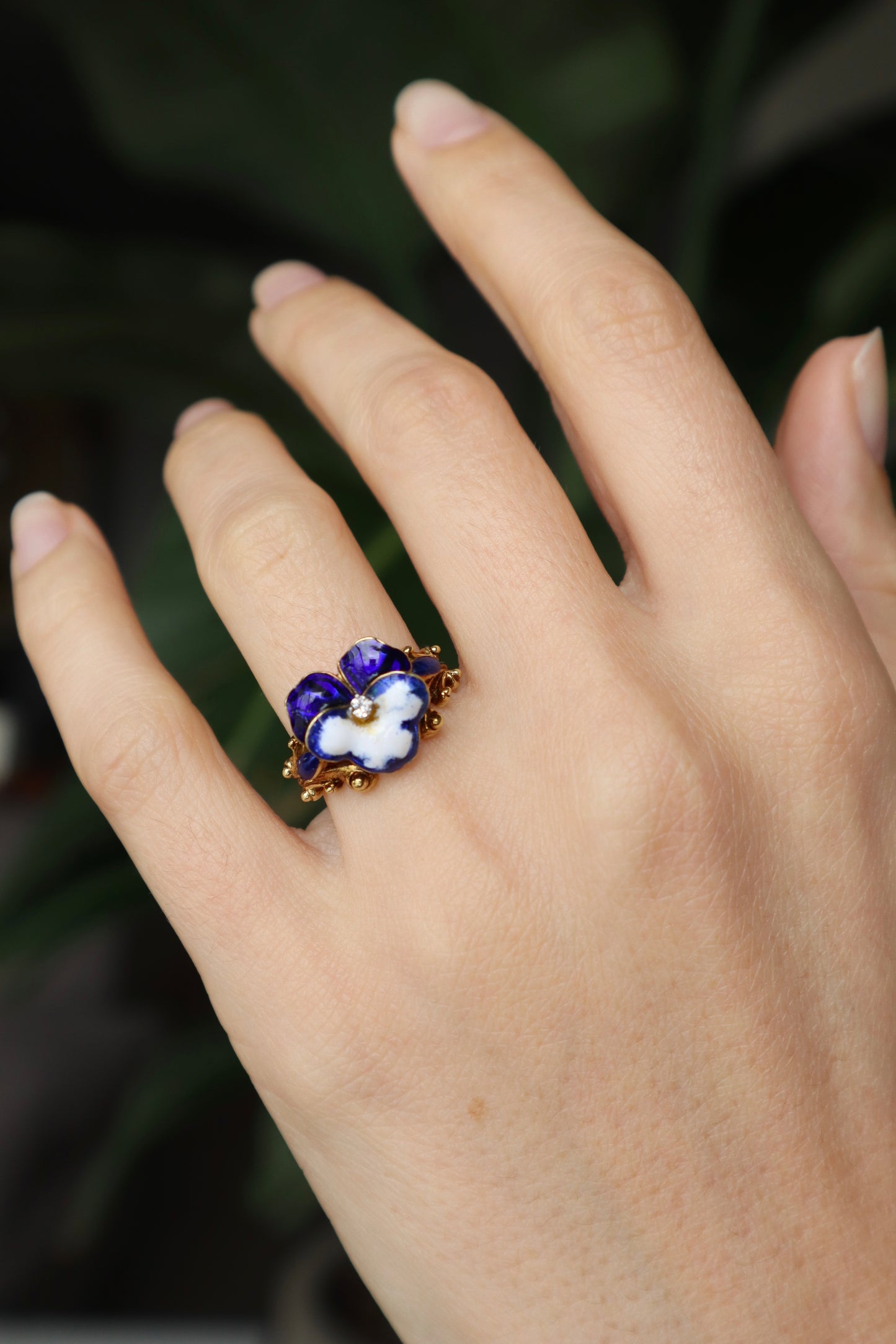 *RESERVED* The Pansy Ring