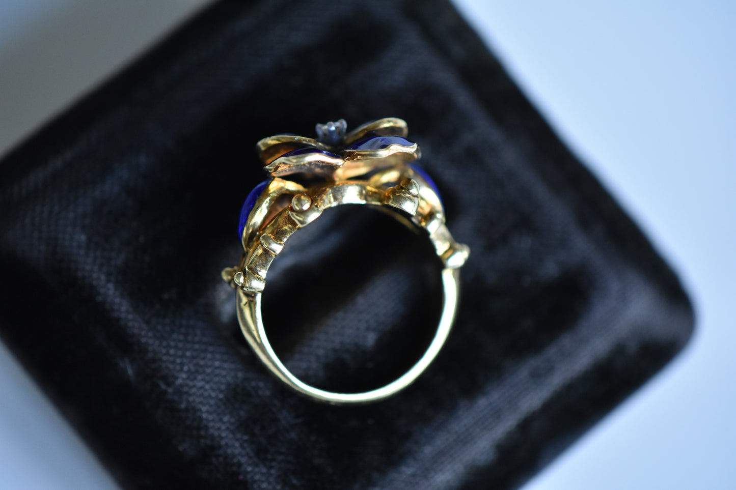 *RESERVED* The Pansy Ring