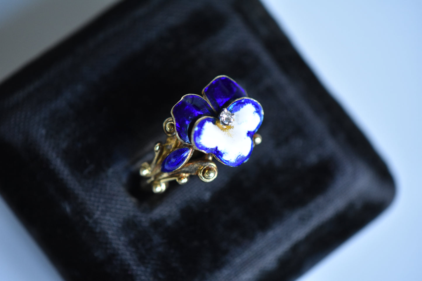 *RESERVED* The Pansy Ring