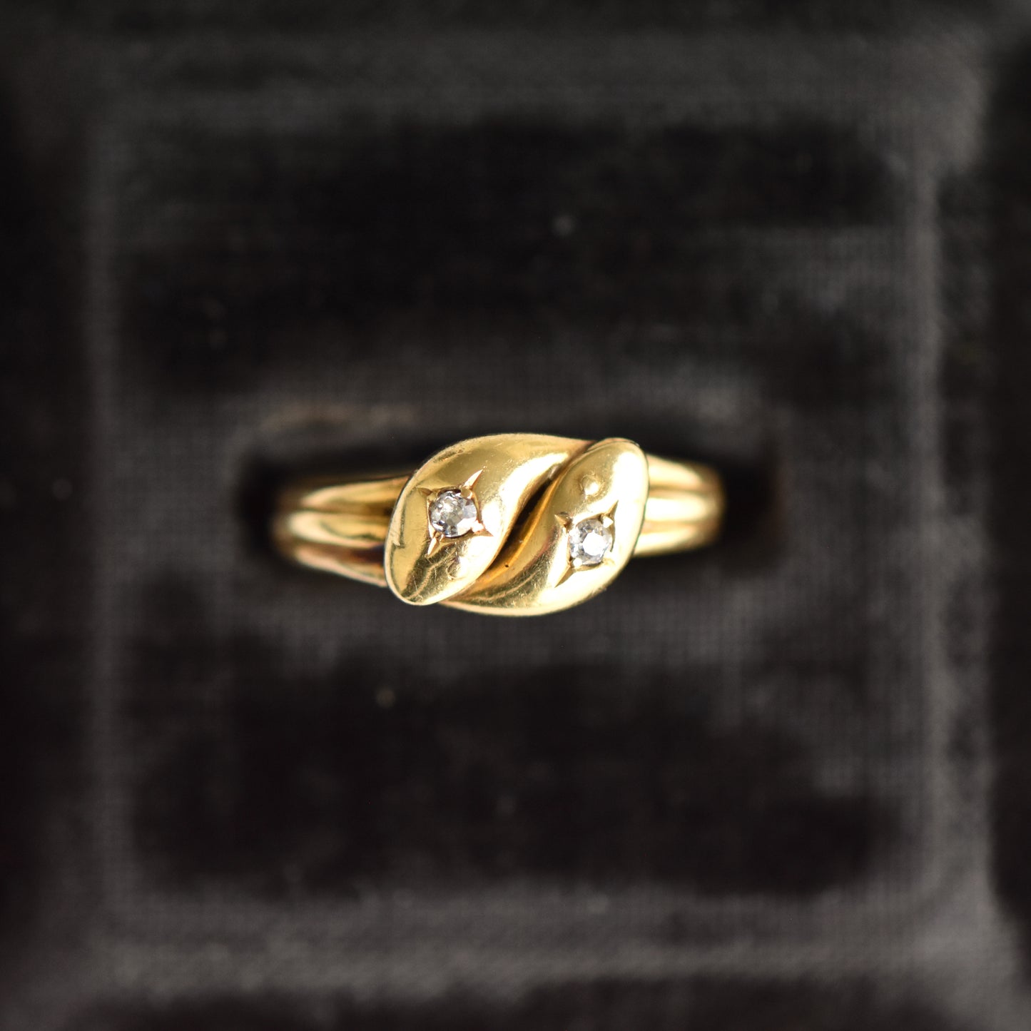 The Medusa Ring